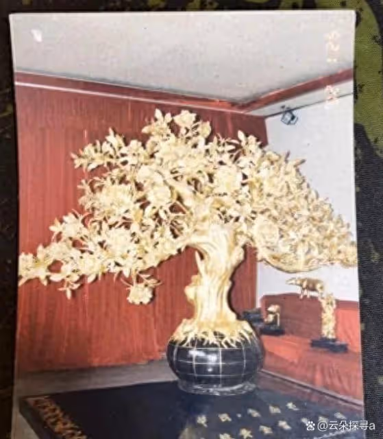 4棵上億金茶花在銀行離奇失蹤!追討10多年無果,女子已無力繼續