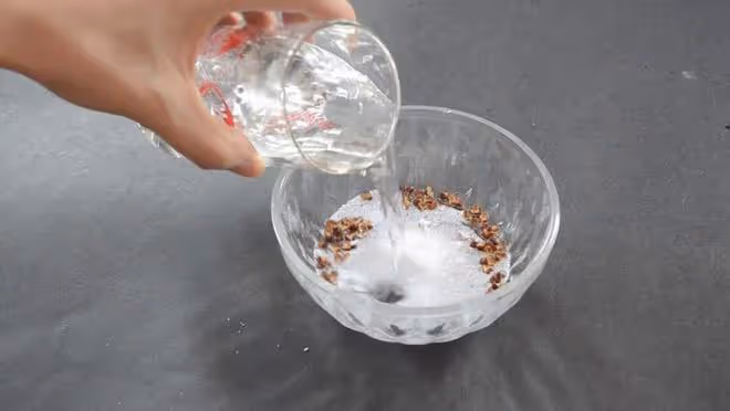 原來蚊子的最大剋星不是蚊香？其實驅蚊很簡單，整晚開窗都不怕