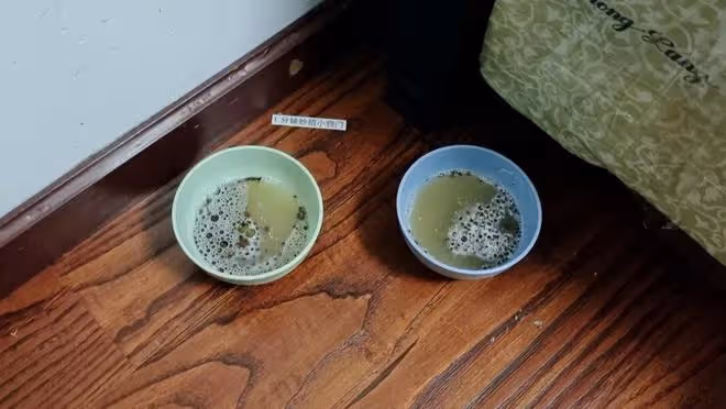 原來蚊子的最大剋星不是蚊香？其實驅蚊很簡單，整晚開窗都不怕