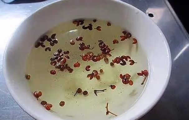 原來蚊子的最大剋星不是蚊香？其實驅蚊很簡單，整晚開窗都不怕