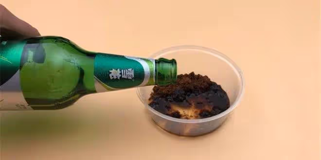 原來蚊子的最大剋星不是蚊香?其實驅蚊很簡單,整晚開窗都不怕
