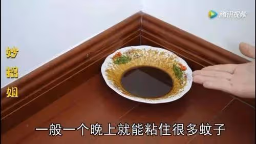 原來蚊子的最大剋星不是蚊香?其實驅蚊很簡單,整晚開窗都不怕