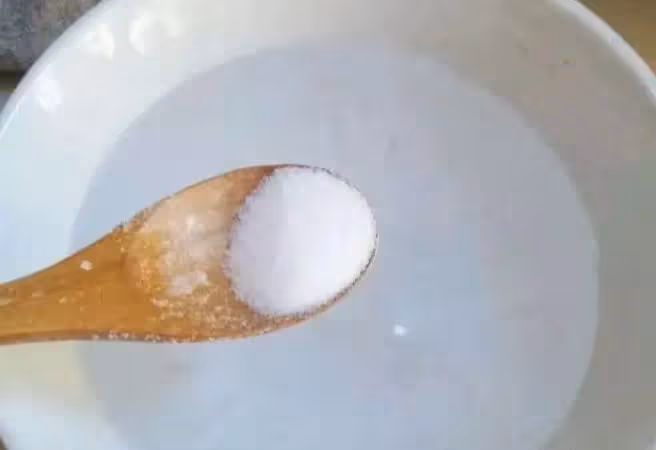 原來蚊子的最大剋星不是蚊香?其實驅蚊很簡單,整晚開窗都不怕