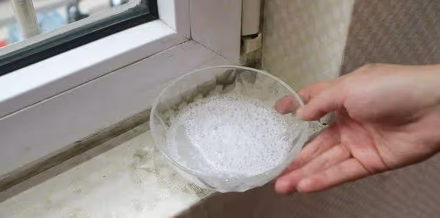 原來蚊子的最大剋星不是蚊香?其實驅蚊很簡單,整晚開窗都不怕