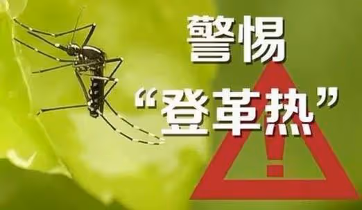 原來蚊子的最大剋星不是蚊香?其實驅蚊很簡單,整晚開窗都不怕