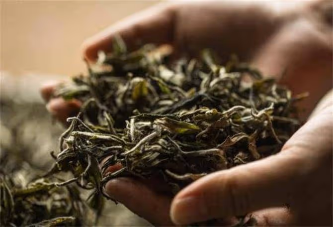 茶葉放冷藏保鮮還是冷凍好?還做錯的人,就別怪茶葉泡出來不香了