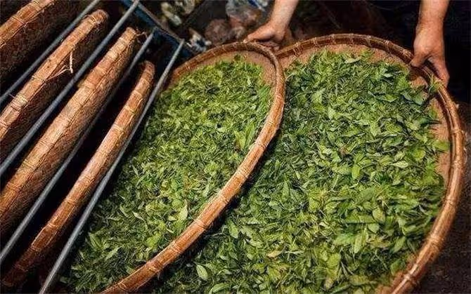 茶葉放冷藏保鮮還是冷凍好?還做錯的人,就別怪茶葉泡出來不香了