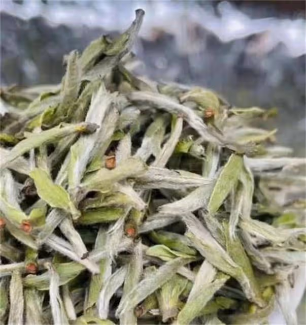 白毫銀針是什麼茶?眾多白茶中,為什麼愛茶人偏愛白毫銀針?