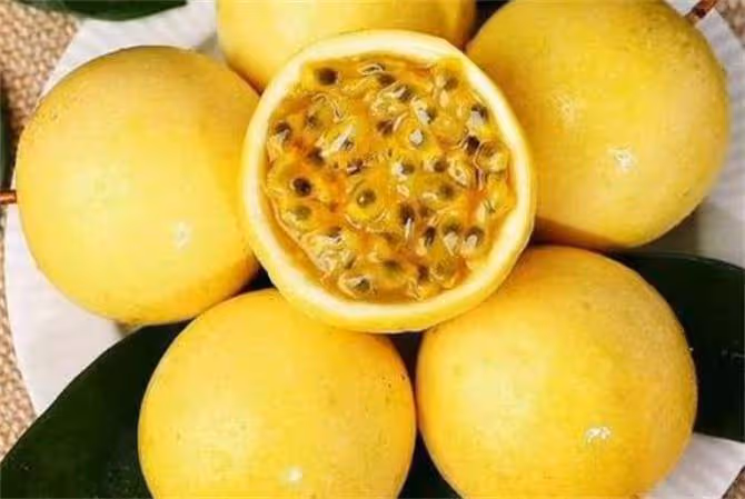 紫皮百香果與黃金百香果有什麼區別?哪一種口味更好吃?