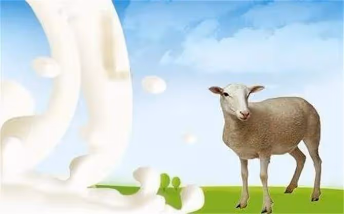羊奶和牛奶有什麼區別?老年人應該喝羊奶還是牛奶?