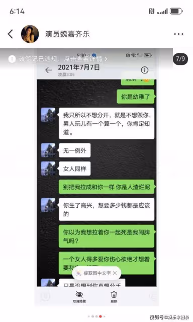 鬧大！女星揭發高亞麟孕期出軌還家暴，曬出大量聊天轉帳記錄！
