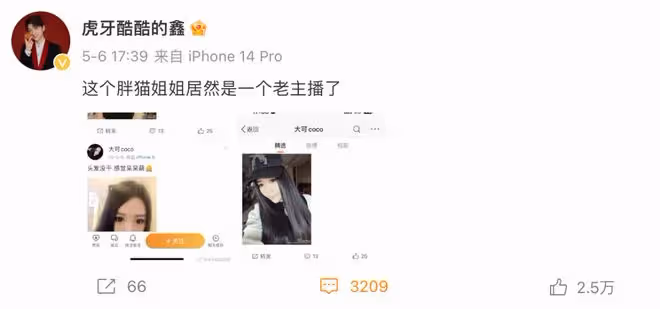 胖貓事件反轉？譚竹微博是假冒的，胖貓姐姐也躺槍，謠言四起！