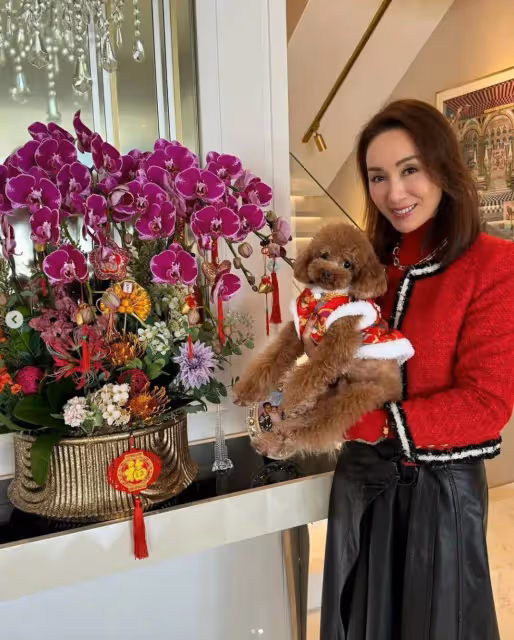 TVB前當家花旦退圈繼承上億資產,網友說越來越像李嘉欣,卻被質疑整容