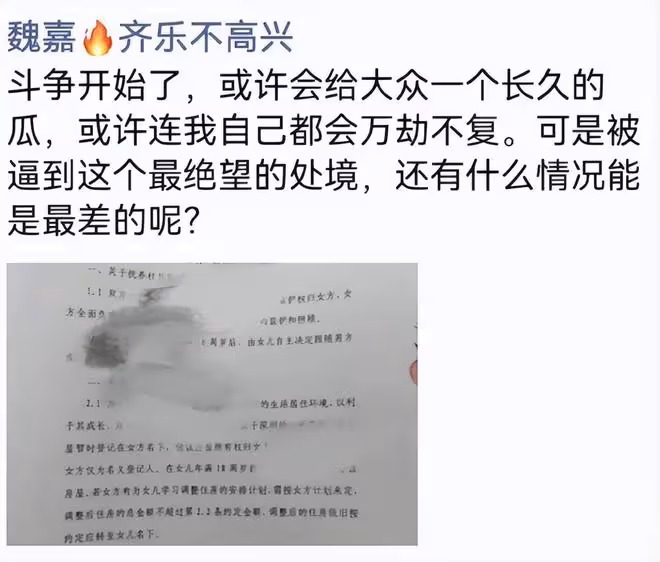高亞麟魏嘉撫養協議曝光:深圳房產歸孩子所有,女方拿不到撫養費