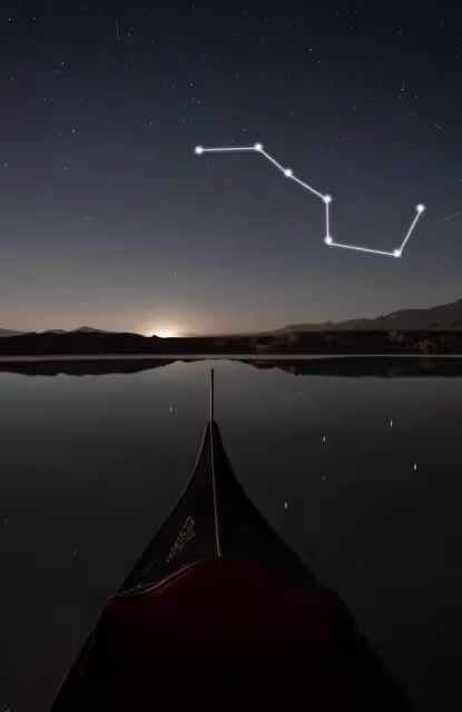 揭秘綠茶女盛產星座:哪些星座最容易出綠茶女?