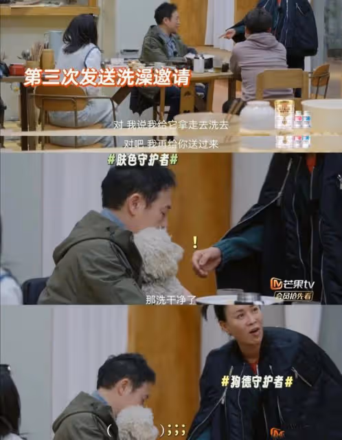 張頌文和他的狗遇到了這輩子最大的剋星-那英!簡直太好笑了!