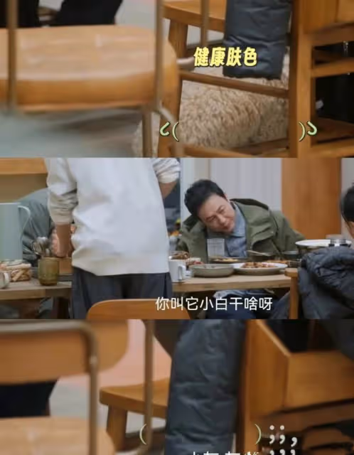 張頌文和他的狗遇到了這輩子最大的剋星-那英!簡直太好笑了!