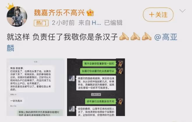 高亞麟回應了!前任曝財產分配,導火索竟是因不讓私生女上戶口!