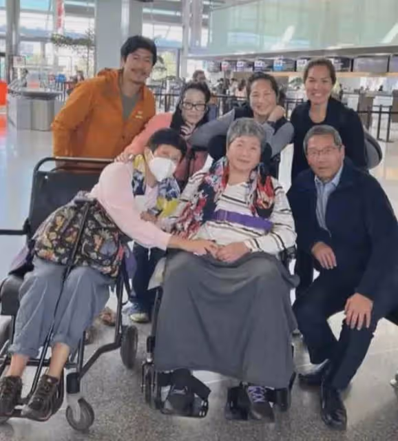淚目!78歲鄭佩佩太悽慘,傷痛纏身坐輪椅,兒媳眾籌36萬治乳腺癌
