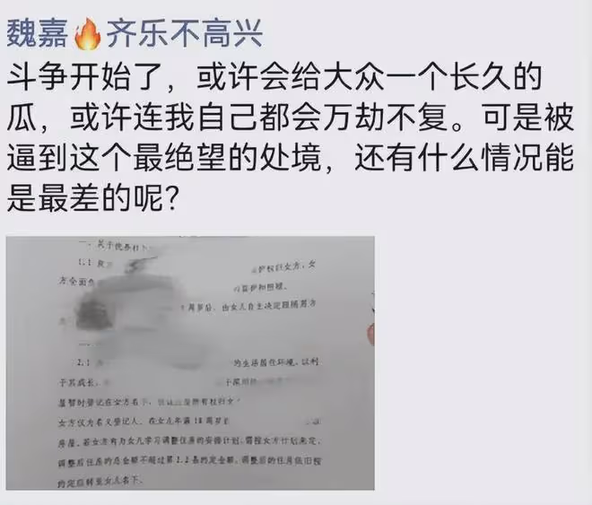 高亞麟魏嘉撫養協議曝光:深圳房產歸孩子所有,撫養費一分不給!
