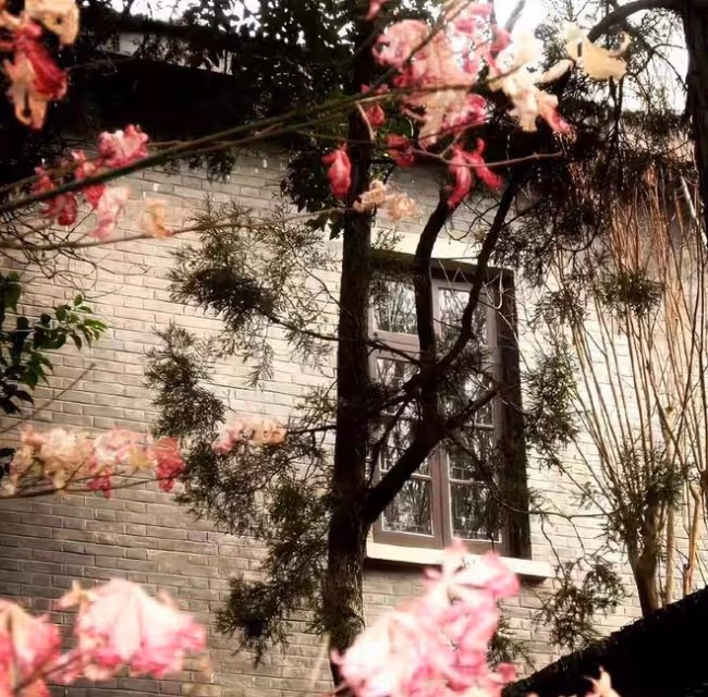恭喜了,五月桃花纏身,必遇良人的四大星座
