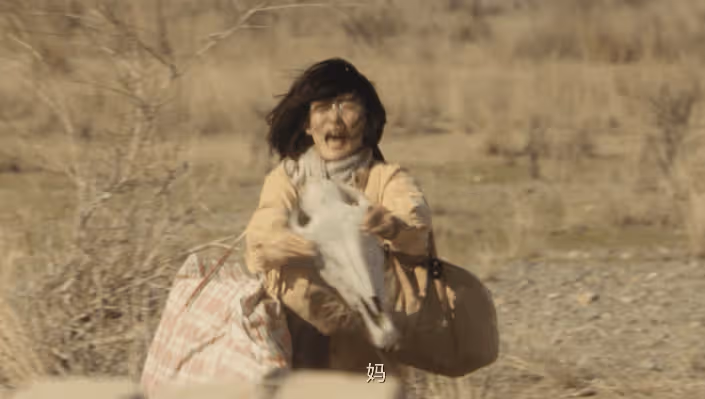 真心建議你好好看看《我的阿勒泰》這部劇,太治癒了