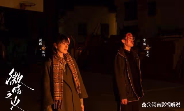 微暗:我們都被張青李騙了,她才是全劇最聰慧之人,助南雅翻盤