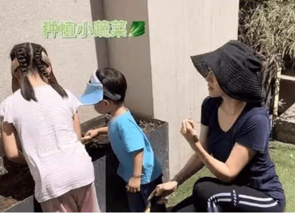 章子怡的女兒回到自己身邊，汪峰後悔離婚了！