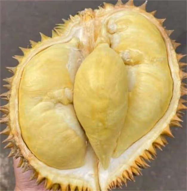貓山王榴槤和金枕榴槤,價格相差五倍,到底哪個更好吃?