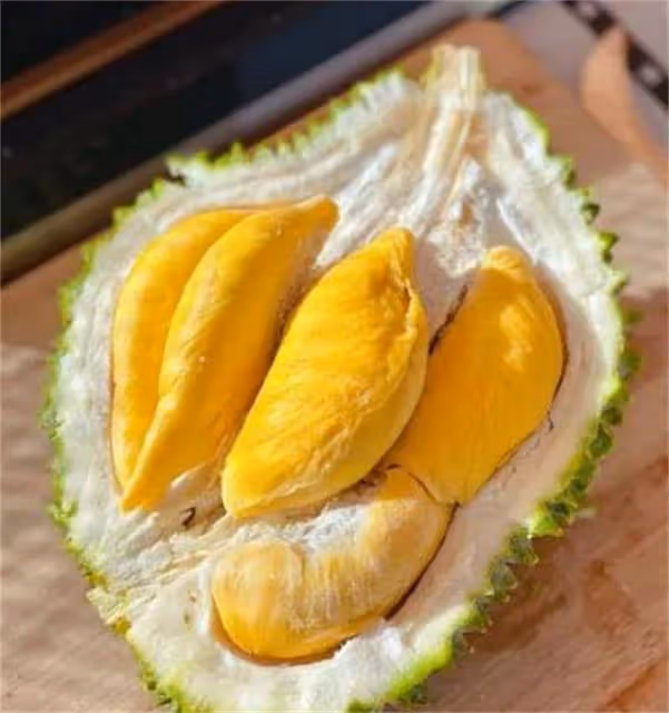 貓山王榴槤和金枕榴槤,價格相差五倍,到底哪個更好吃?