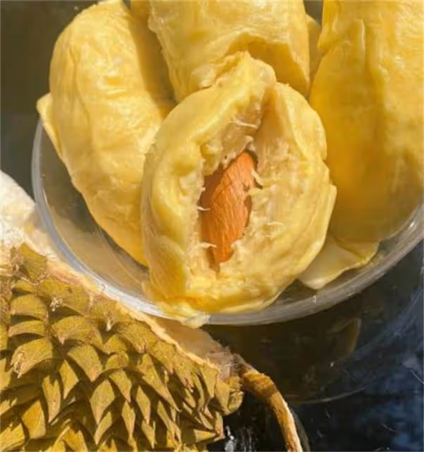 貓山王榴槤和金枕榴槤,價格相差五倍,到底哪個更好吃?