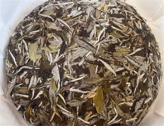 福鼎白茶產地哪裡的最正宗？白茶的主要產地是哪裡？