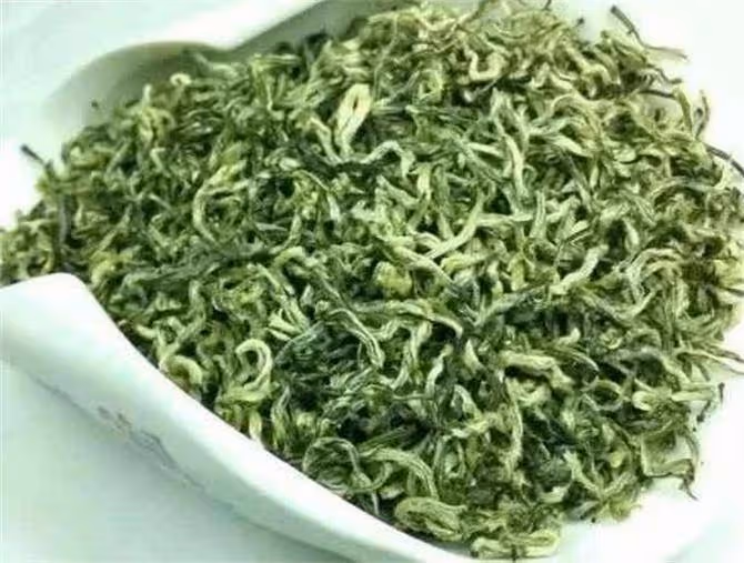 哪裡的毛尖茶好?如何選購正宗信陽毛尖?這兩個關鍵點特別重要