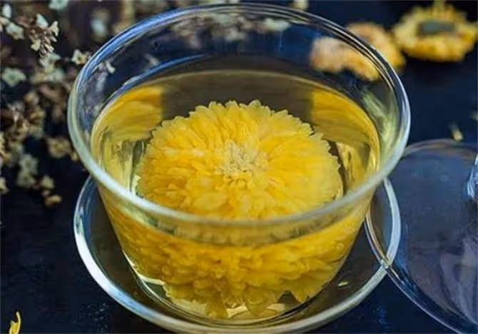 哪裡產的菊花茶最好？菊花茶到底應該怎麼選？