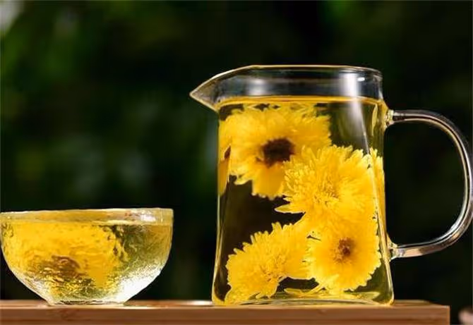 哪裡產的菊花茶最好？菊花茶到底應該怎麼選？