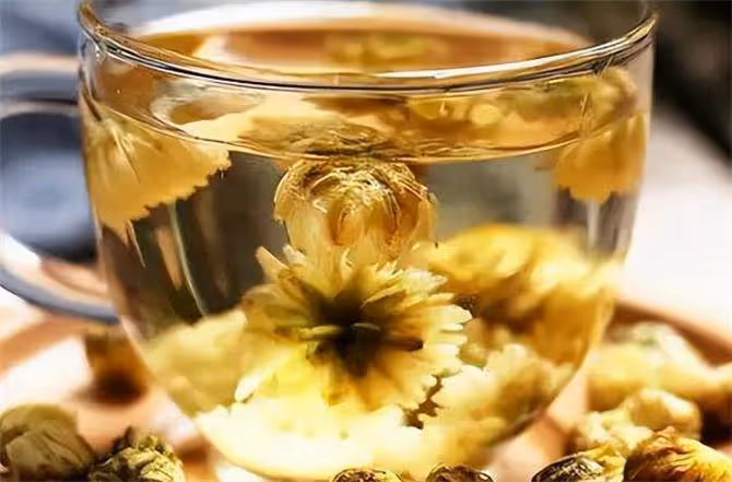 哪裡產的菊花茶最好？菊花茶到底應該怎麼選？