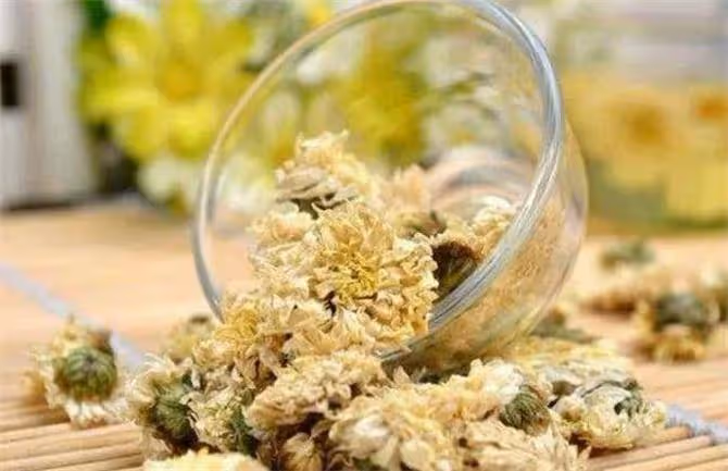 哪裡產的菊花茶最好？菊花茶到底應該怎麼選？