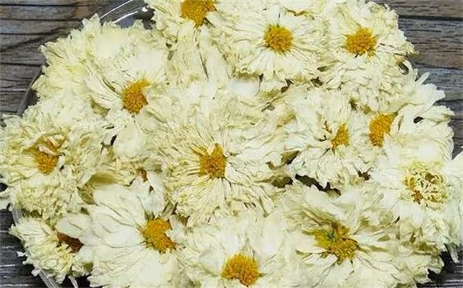 哪裡產的菊花茶最好?菊花茶到底應該怎麼選?