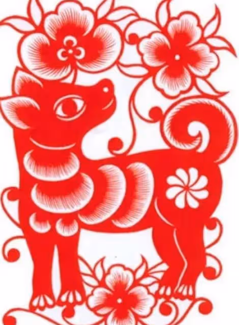 生肖狗:你身邊的惡人厄運將至,好運即將降臨!