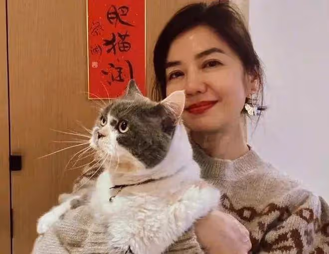 風情萬種的5位女明星,出道多年零緋聞,你最喜歡誰?