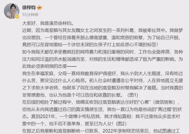徐梓鈞回應：我家境很好，是收了高亞麟的錢，但沒有不正當關係！