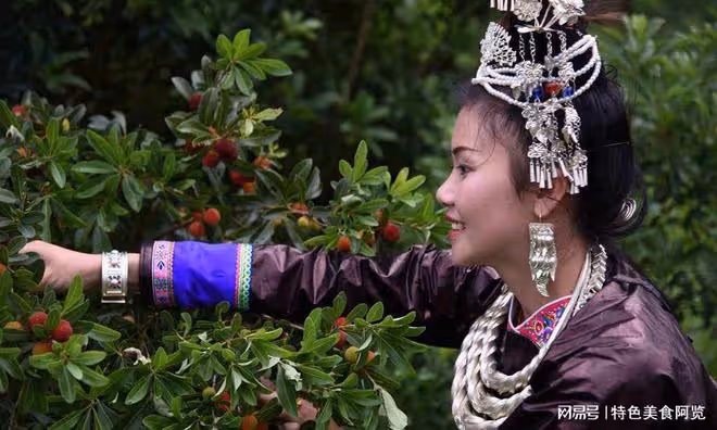 我國哪裡的楊梅最有名?網友推薦這10個地方楊梅,你家鄉上榜了嗎