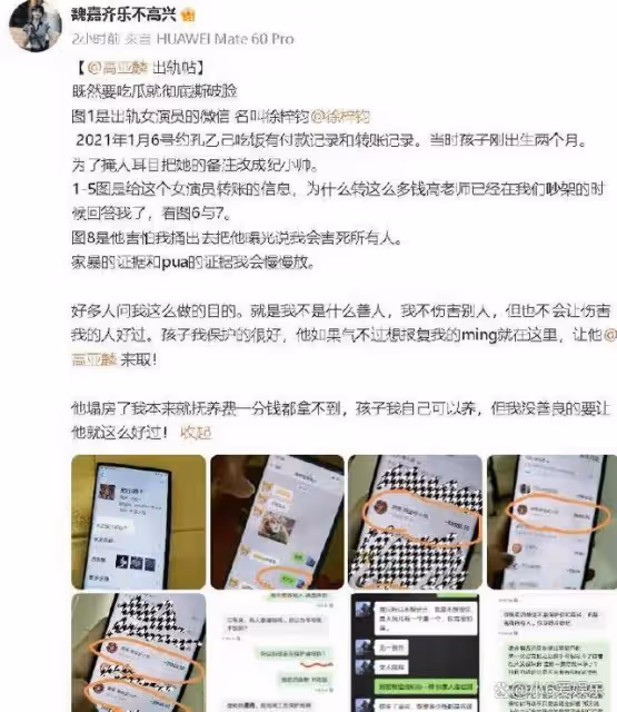 女星曝高亞麟孕期出軌,拒付撫養費,《家有兒女》好爸爸形象崩塌