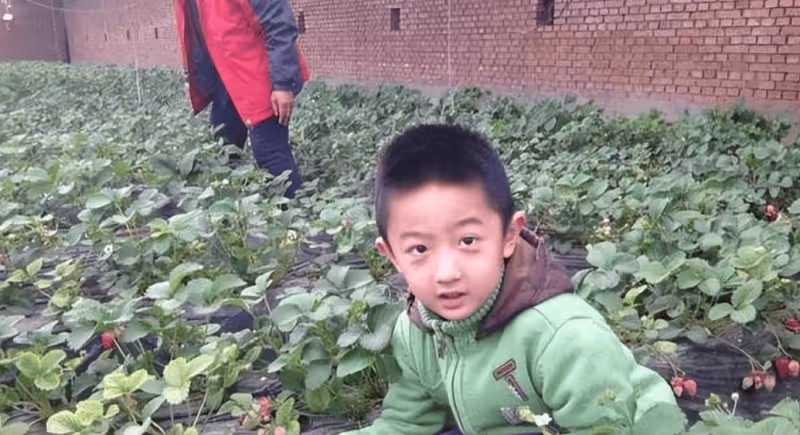 于謙夫婦為兒子辦成人禮!身高已超爸爸,曝其拿18個錄取通知書