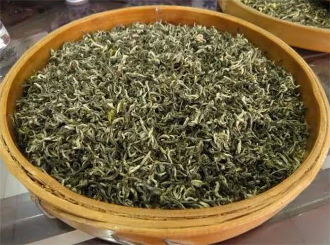 蒙頂甘露屬於什麼茶?愛喝綠茶的一定要了解,最古早的名茶
