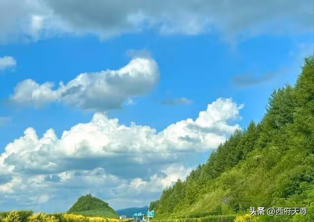 5年沒有聯繫的女同學「突然約我吃飯」，我也答應赴約了，誰知道當天她全家人都來了，我只好硬著頭皮買單！事後「我接到1通電話」聽完愣住了…