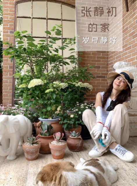 張靜初自曝:無性無愛住豪宅,守著一屋子破爛,就想做個無用的人