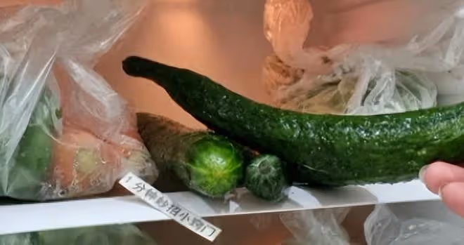 放進冰箱變毒藥?這幾種食材儘量不要放在冰箱裡!
