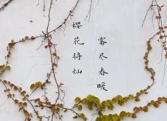 如果你感覺自己,苦了,累了,煩了,不開心了,就看看這段話吧