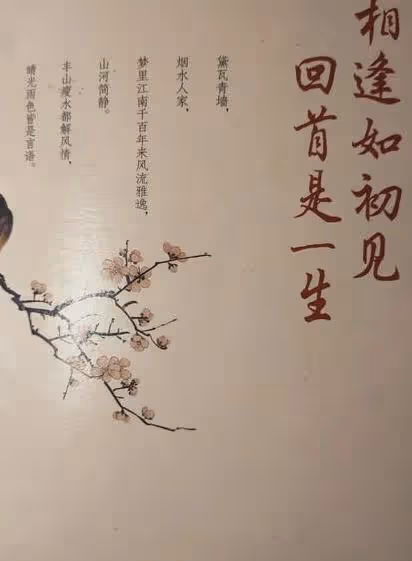 如果你感覺自己,苦了,累了,煩了,不開心了,就看看這段話吧